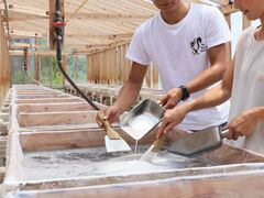 �y���̉��ہy�V�����Â���̌��z�̎ʐ^