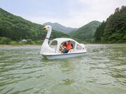 ��q���X�ь����I�[�g�L�����v��̎ʐ^3