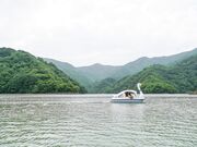 ��q���X�ь����I�[�g�L�����v��̎ʐ^4