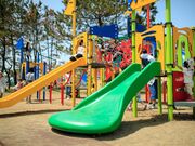 �C�l�����̎ʐ^3