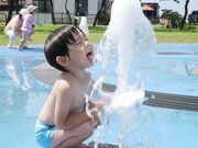 �C�l�����̎ʐ^4