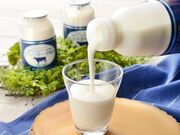 ���X�_���[�O���g�̎ʐ^2