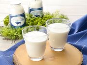 ���X�_���[�O���g�̎ʐ^3