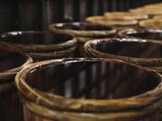 ������Жk���{�X�̎ʐ^3