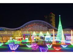 �C���~�l�[�V�����E�t�����[�K�[�f�� 2024 �`���y�ƃC���~�l�[�V�����̋����`�̎ʐ^1