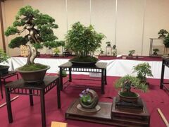 �����_�Ё@�t�ՁE�~�͓W�̎ʐ^1