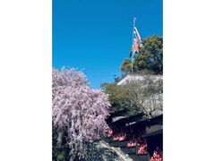 �������̍��̎ʐ^1