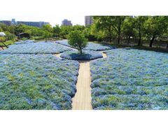 �����A�����l���t�B���t�F�A�̎ʐ^1