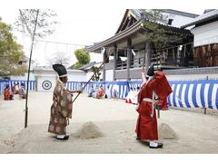 �Î��|����I�_���̎ʐ^1