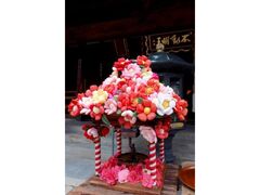 �ԍՂ�i�ߑ��~�a��j�̎ʐ^1