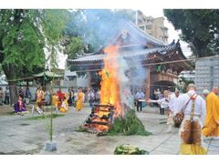 ���Ȃוs�����@�َ��@�t�̑�Ձi�ē���얀���j�̎ʐ^1