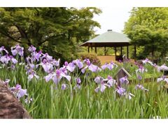 ���������{�뉀�@�ԏҊ��W�̎ʐ^1