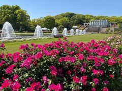 �_�ˎs���{�����{�����@�t�̃o���Ϗ܉�̎ʐ^1