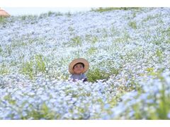 �����׃A�O���p�[�N�@�l���t�B���̋u 2026�̎ʐ^1