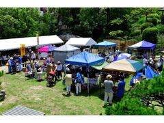 ���y�s�̎ʐ^1