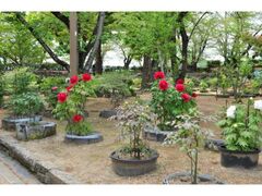 ��P�ڂ���Ղ�̎ʐ^1