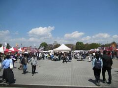 ��40��Ђ߂�����߂��ǂ̎ʐ^1