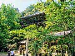 ���ʎR�V�΂܂�̎ʐ^1