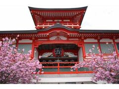 ��˖�_�@�\�O�w�̎ʐ^1