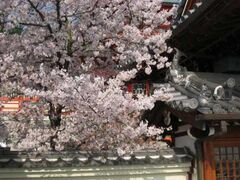 ��˖�_�@�t�G���Ղ̎ʐ^1