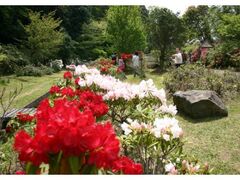 �V���N�i�Q�����̃V���N�i�Q�i�����j�̎ʐ^1