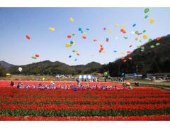 ����Ƃ��`���[���b�v�܂�̎ʐ^1