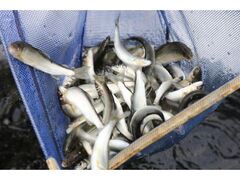 ������@�������ւ̎ʐ^1