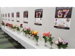 ���Ð�΂�W�̎ʐ^1