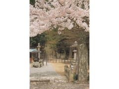 ��掛�̍��̎ʐ^1