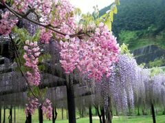 ����咬�������@���܂�̎ʐ^1