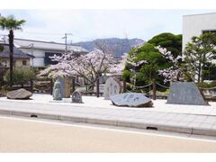 �c�X�e���o�僉���[�̎ʐ^1