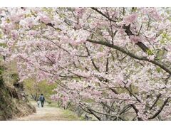 ���؉��@������܂�̎ʐ^1