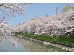 �X�v�����O�t�F�X�^������̎ʐ^1