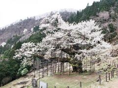 �M���̑���@�J�Ԃ̎ʐ^1