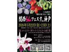 �֐����t�F�X�^�@in�@�_�˂̎ʐ^1