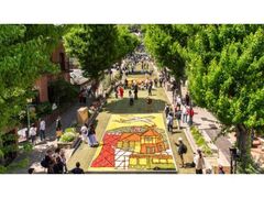 �C���t�B�I���[�^�����ׂ̎ʐ^1