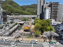 ���c��̍��̎ʐ^1