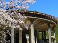 �_�q�����܂�̎ʐ^1