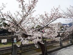 ����������܂�̎ʐ^1