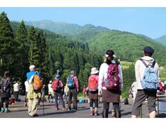 �X�m�R�V�Γo�R�t�F�X�e�B�o���i���r�����j�̎ʐ^1