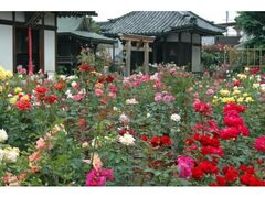 ���ӂ��ω��@�t�̃o���܂�̎ʐ^1