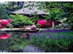 ���x���̂����΂��̎ʐ^1