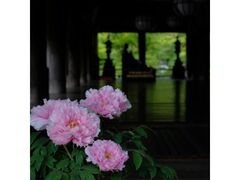 ���J���@�t�̂ڂ���̎ʐ^1