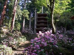 �������̐Γ�Ԃ̎ʐ^1