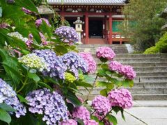 ��c���@�����������J���̎ʐ^1