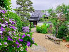 ��񂶂傤���@����ɔ@���������ʌ��J�̎ʐ^1