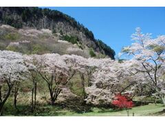 ����������̎R���̎ʐ^1