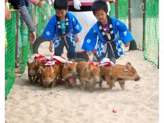 �C�m�u�[�^����������41���N�Ղ̎ʐ^1