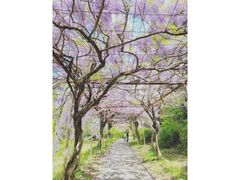 �݂�܂̗��ӂ��I���[�h�̎ʐ^1