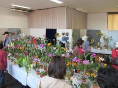 �t�̗m�����W�̎ʐ^1